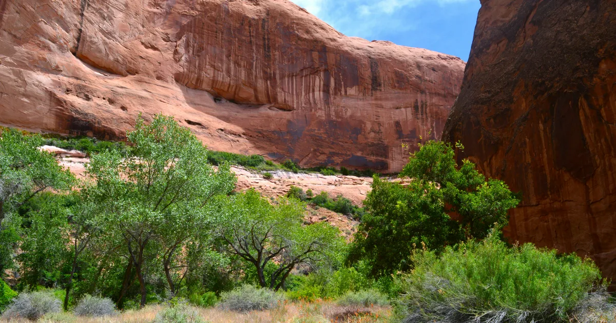 Best Easy Hikes in Sedona for Seniors & Beginners